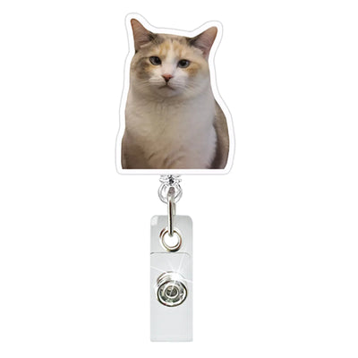 Funny Cat Clip