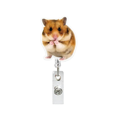 Funny Cat Clip