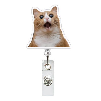 Funny Cat Clip