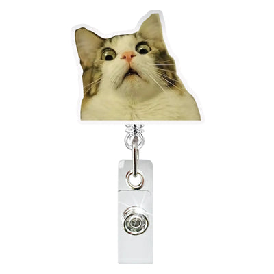Funny Cat Clip