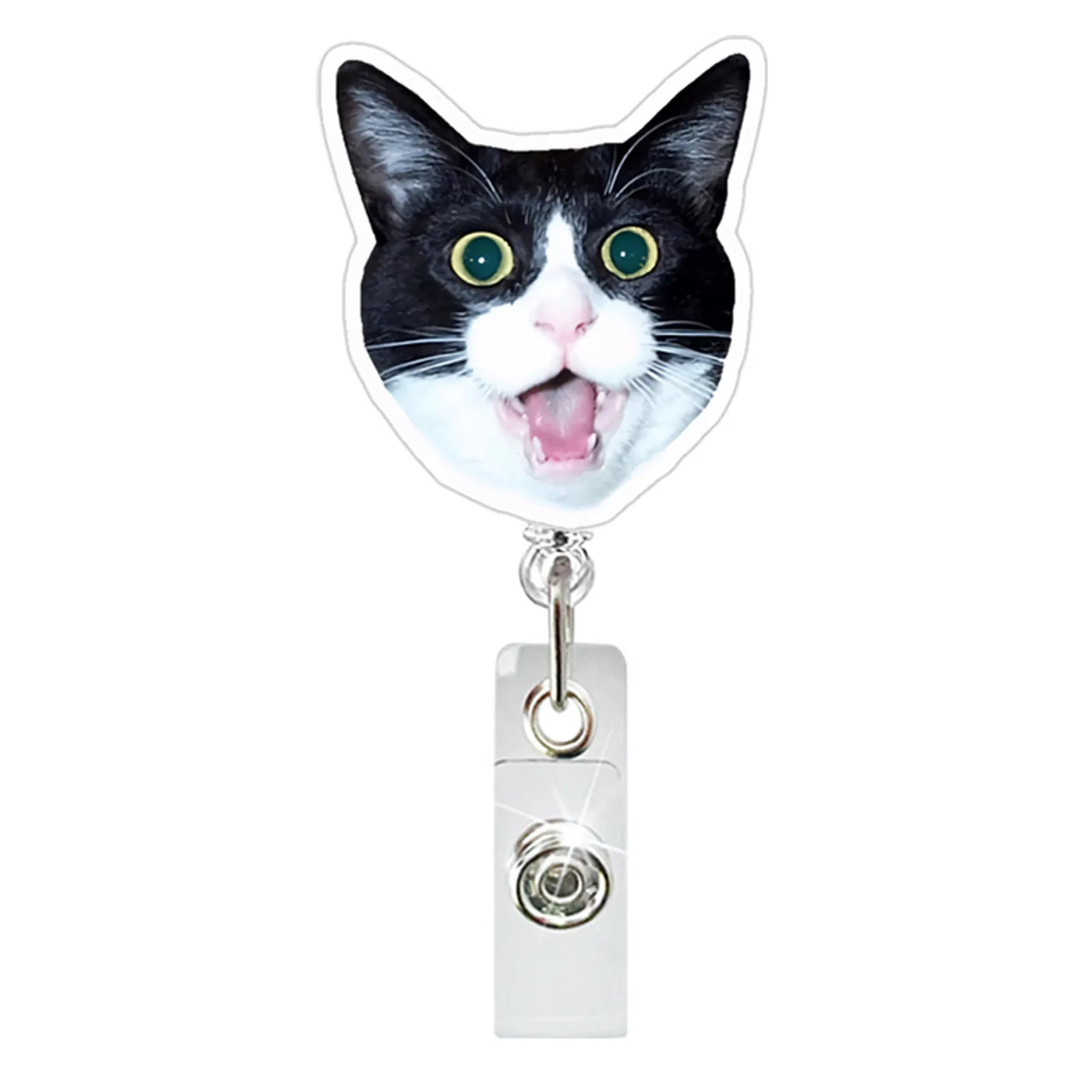 Funny Cat Clip