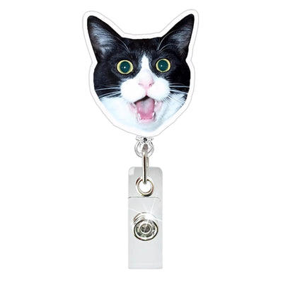 Funny Cat Clip