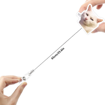 Funny Cat Clip